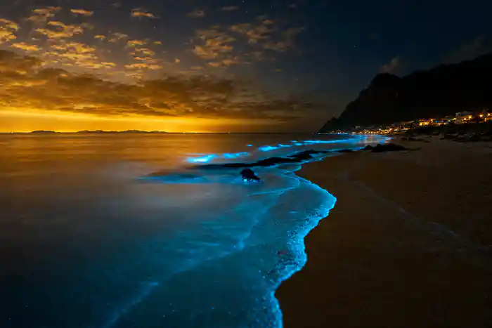 Bioluminescent waves glowing blue on dark beach at night