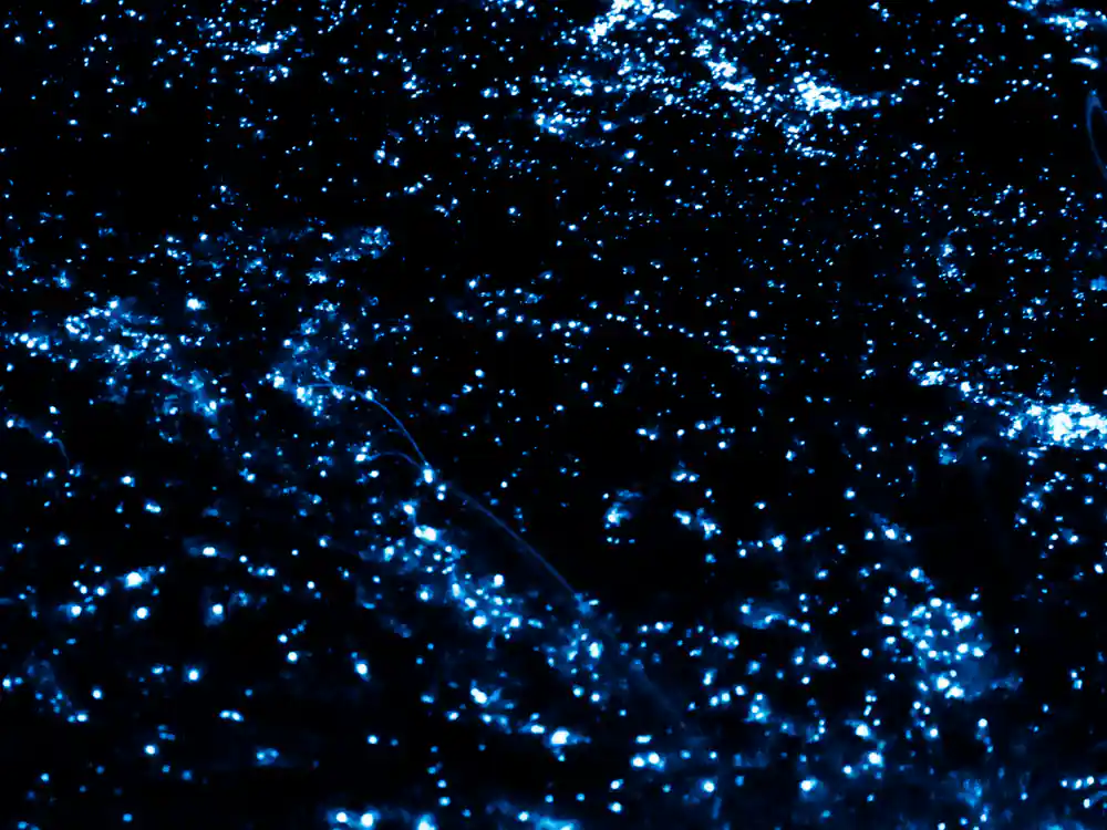 Blue glowing lights scattered across black background