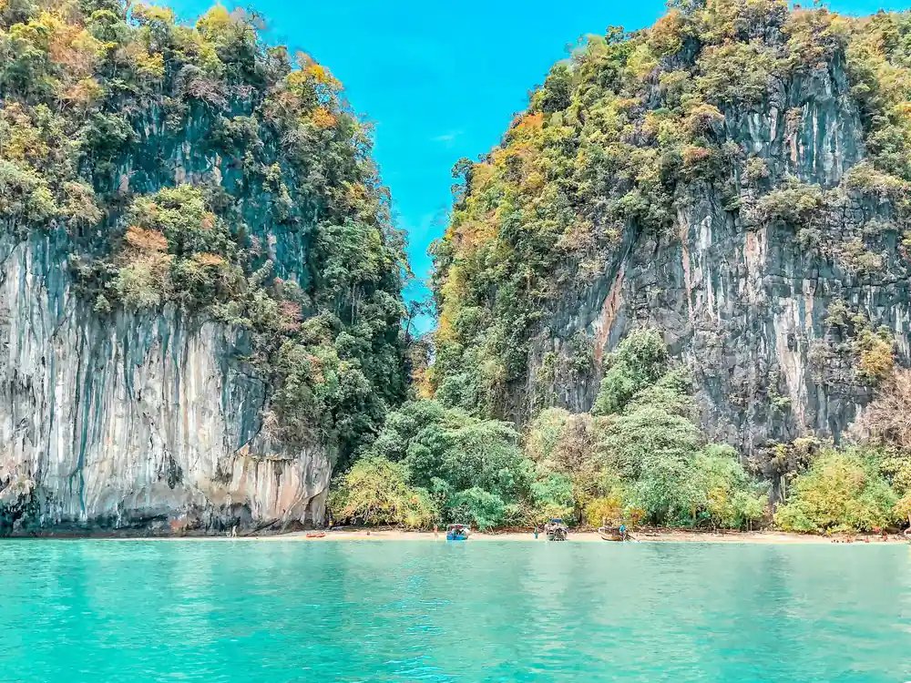 Limestone cliffs with dense green vegetation meeting water