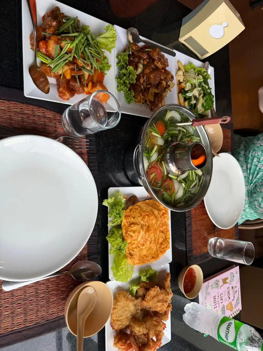 Multiple plates of Asian food dishes overhead view